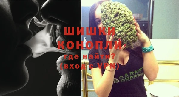 прущая мука Инсар