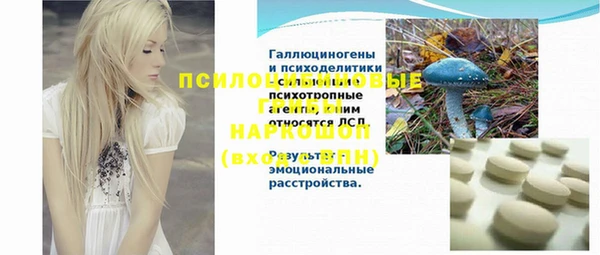 бошки Мегион