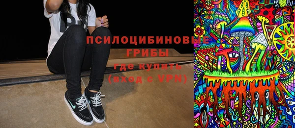 прущая мука Инсар