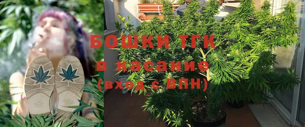прущая мука Инсар