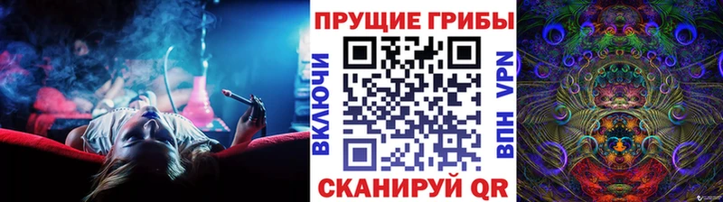 где купить наркоту  Каргат  hydra зеркало  Псилоцибиновые грибы Magic Shrooms 